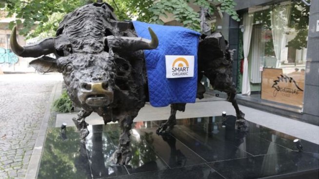 „Смарт Органик“ започва да изплаща гласувания през март дивидент от 18 юни