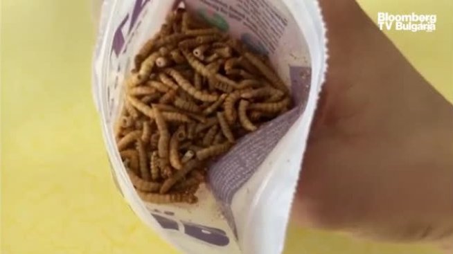 Насекоми на масата - Част 1