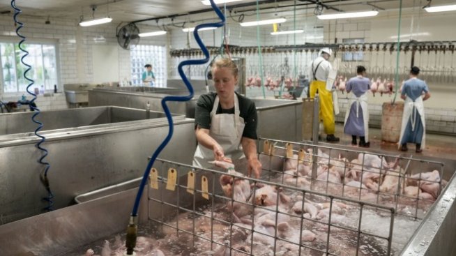 Краят на имиграцията от ЕС ще преоформи британската икономика