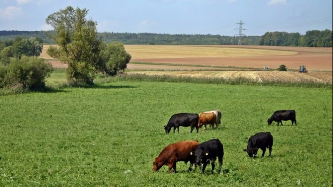 С 1 млн. лева се увеличава бюджетът за застраховане на земеделската продукция