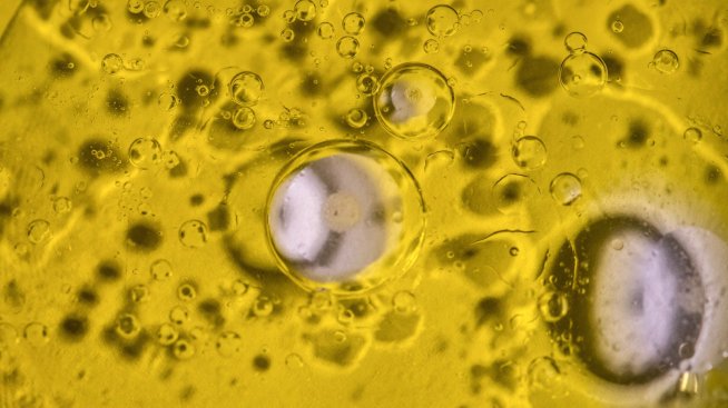 AI еуфорията не е безспорна