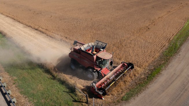България е сред страните в ЕС с най-голям спад на стойността на земеделската продукция