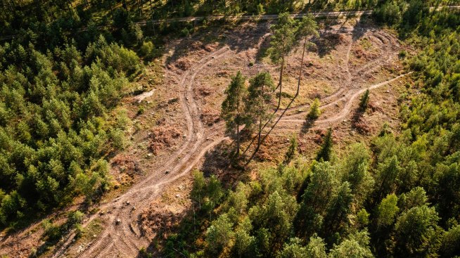 ЕК предлага още едно отлагане на Закона за борба с обезлесяването