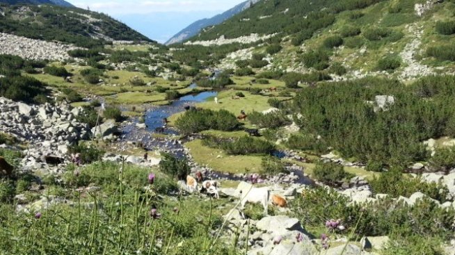 Българско издателство получи 305 хил. евро за популяризиране на НАТУРА 2000