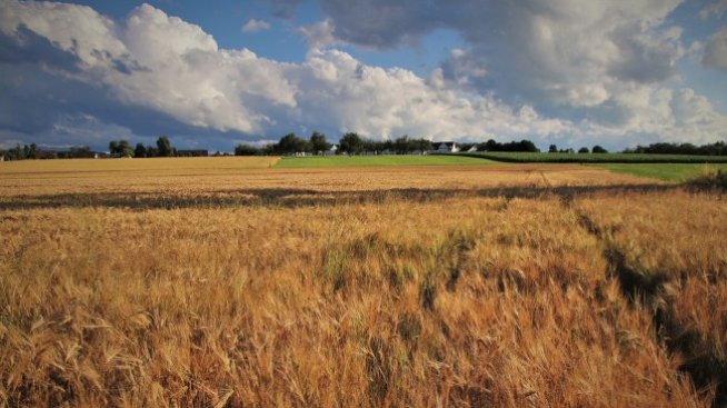 „Елана Агрокредит“ финализира първата процедура по обратно изкупуване на акции