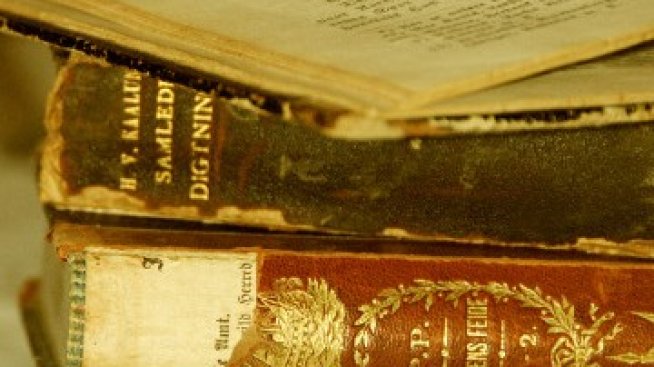 Скъпите страници на старите книги