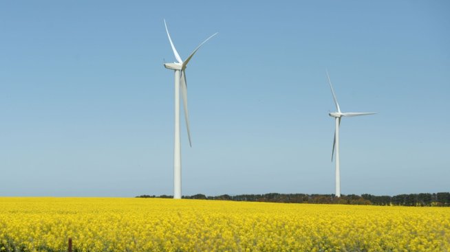 Най-големите банки в света са спечелили 3 млрд. долара от зелен дълг през 2023 г.