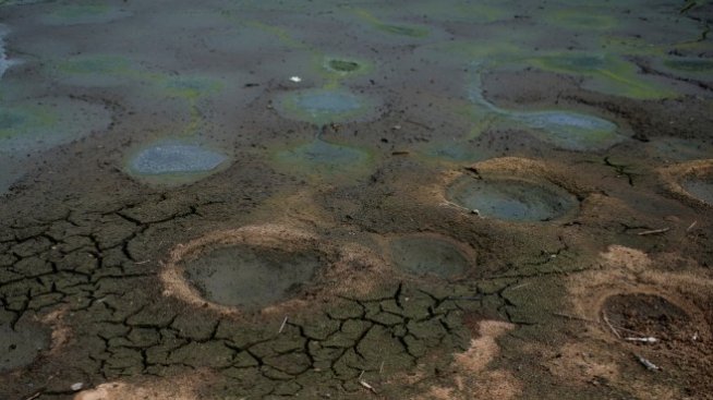 Инвестициите в климатичната адаптация гарантират до 7,1 трлн. долара възвръщаемост