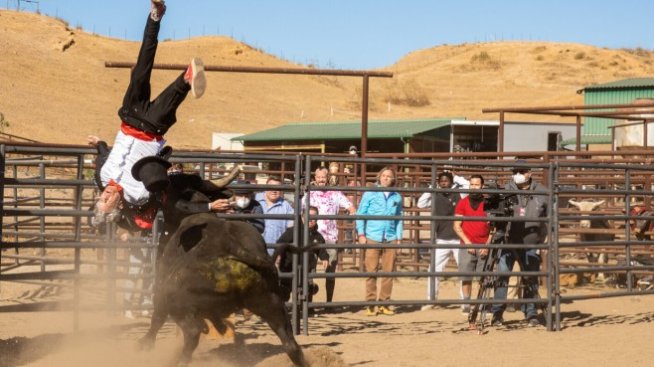 Новият Jackass детронира Спайдър-мен от челната позиция в щатския боксофис