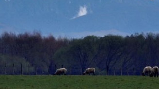 13 млн. лв. по ОПОС са предвидени за отчуждаване на земи в НАТУРА 2000