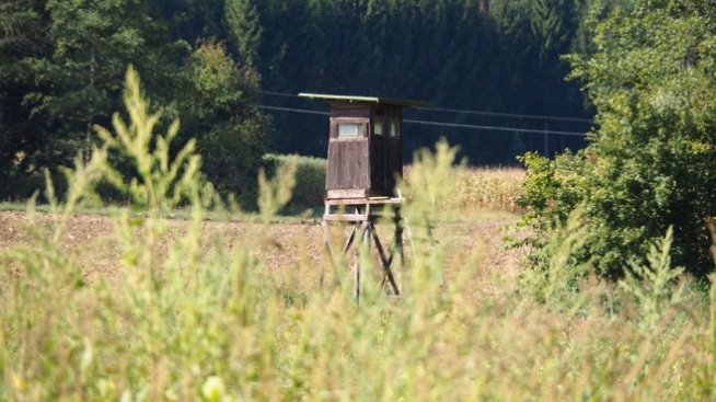 Aлександър Дунчев: Ловните стопанства работят на 80% загуба