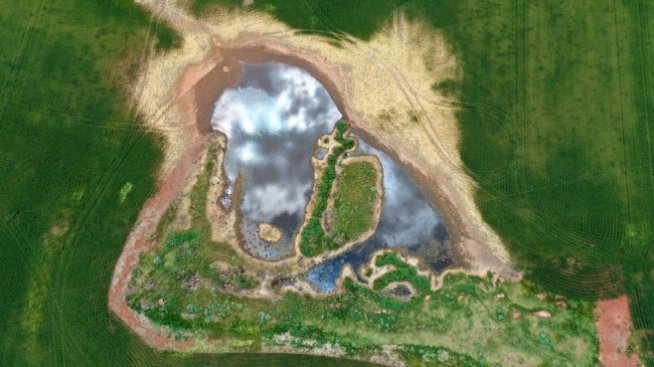 Зърнените култури поскъпнаха с близо 23% през третото тримесечие