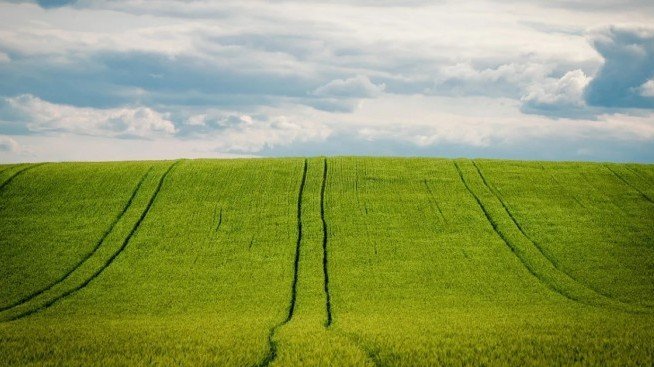 Повдигат обвинение за търговия с влияние на главен експерт от ДФ „Земеделие“