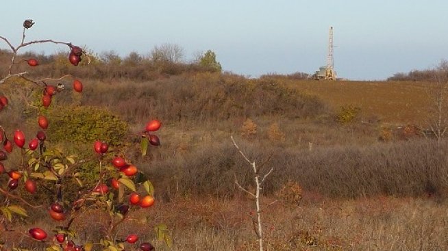 Зелен минерал ще "изяде" бизнеса на заводите за изкуствени торове