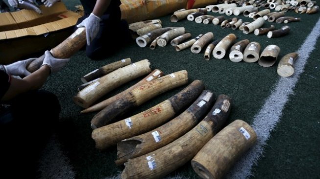 Трафикът на животни се оценява на 23 млрд. долара