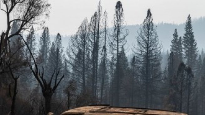 Природните бедствия са нанесли удар за 40 млрд. долара на застрахователите