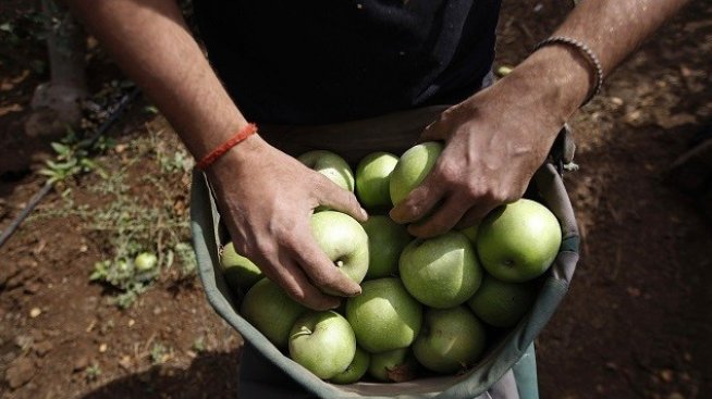 Българските продукти са над 67% от основните категории храни в търговските вериги