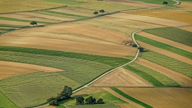 Цените на обработваемата земя в ЕС варират широко, в България са най-евтините пасища