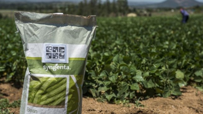 Конкурентът на Bayer Syngenta бърза с плановете за мега IPO