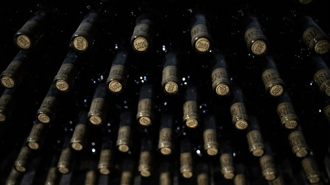 Стремежът на Путин за „патриотични“ вина подкрепя лозята по черноморското крайбрежие