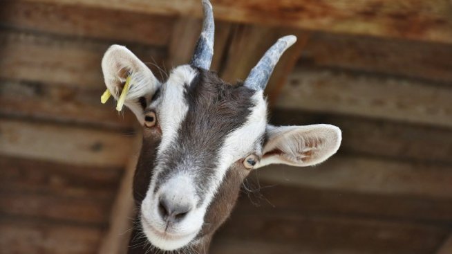 Над 160 биопроизводители трябва да сменят фирмата, която ги сертифицира