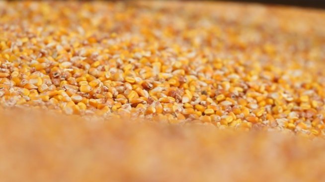 Графика на деня: Войната застрашава световната продоволствена сигурност