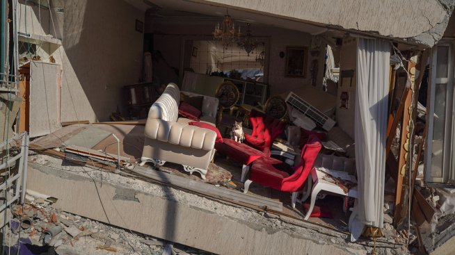 Спасителните операции в Турция и Сирия продължават, докато броят на жертвите расте