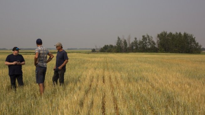 Канадската политика за въглероден данък и дивидент е добър пример