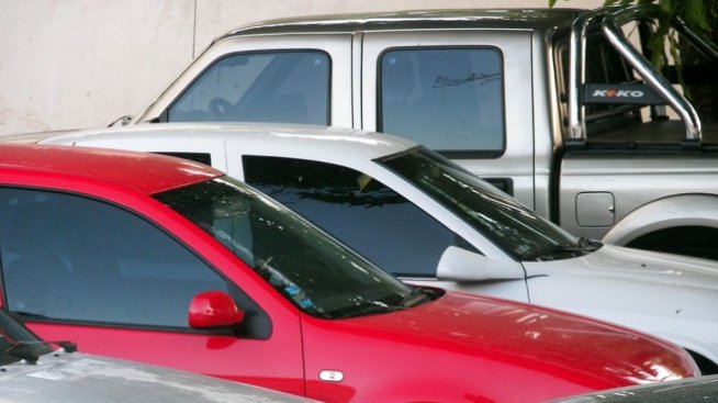 Цветанка Крумова: Цената на ГО трябва да скочи до 6 пъти 