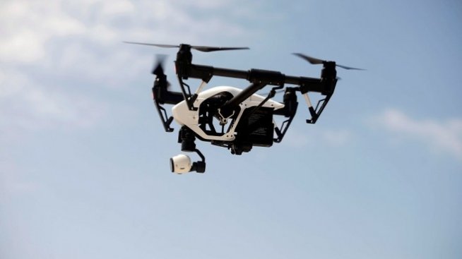 Изкуствените зорки орли над електропроводите