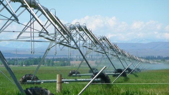 Правителството дава още 3,3 млн. лева на две научни програми в земеделието