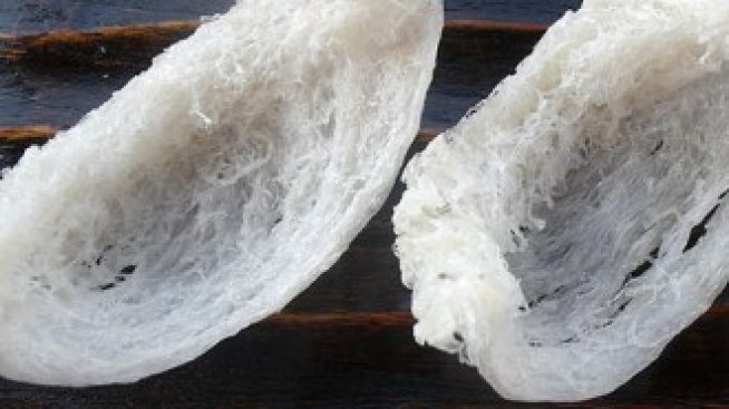 Ядливата птича слюнка - индустрия за милиарди в Азия