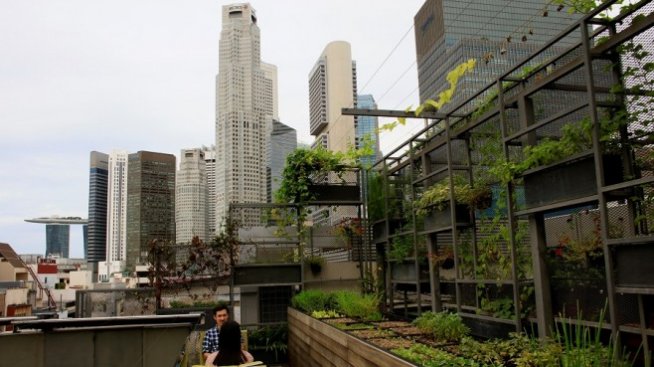 Сингапур превръща свободното пространство в градски ферми
