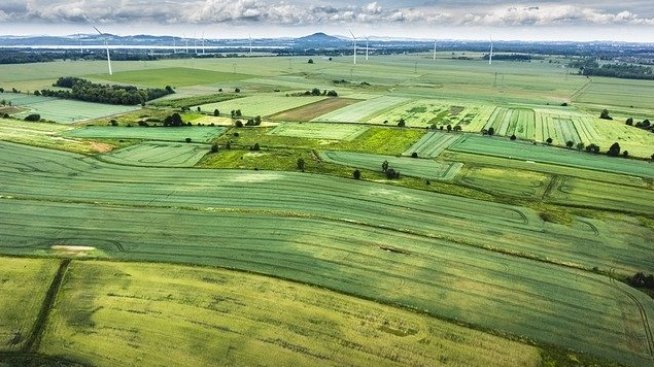 Над 60% от земеделските стопанства у нас са изчезнали за 10 години