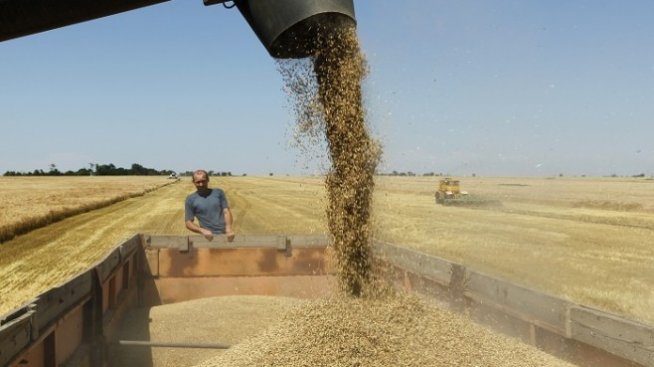 Русия се опитва да заеме първото място в света по износ на пшеница