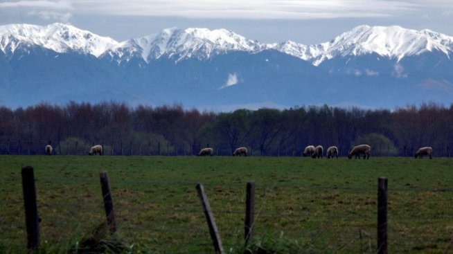 Работодатели се оплакват от "зелен рекет" в икономиката