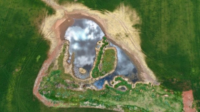 643 млн. лв. са разплатени към фермерите по Схемите за единно плащане на площ