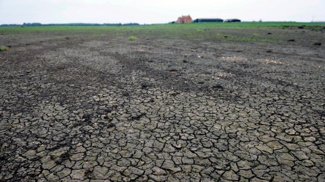 Екстремните метеорологични условия по света могат да увеличат разходите за храна