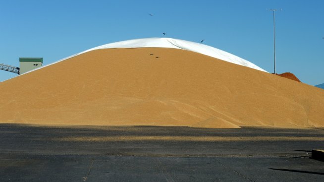 Избягването на хранителна криза в света догодина зависи главно от доброто време