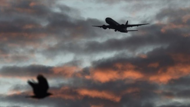 Norwegian Air прекрати договора си с Boeing за доставка на 97 самолета