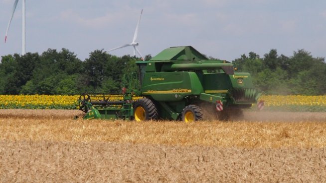 Васил Симов: Държавната покупка на пшеница се очаква до края на март