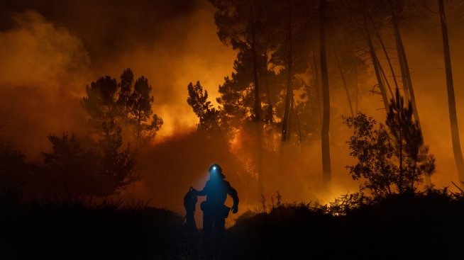 Горските пожари в Европа са унищожили най-много земя от близо 20 години
