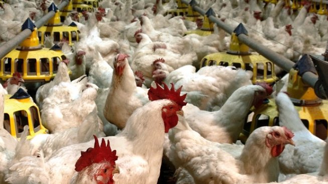 Пенсионните фондове на „Доверие“ са продали над 5% от капитала на "Градус"