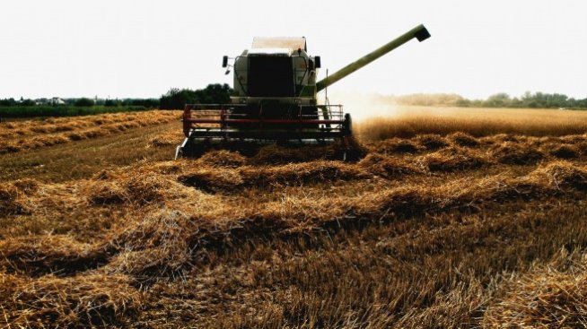 Фермери обезпечават своите кредити със земеделска земя