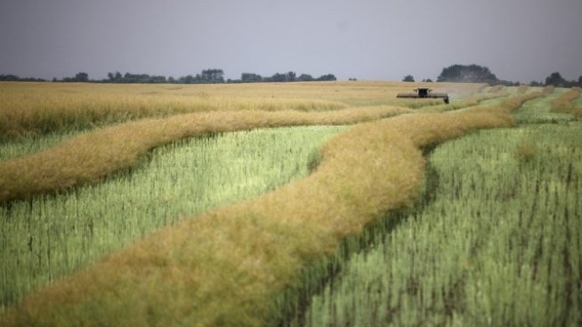 Фермерите ще получат около 600 млн. лв. директни плащания през декември