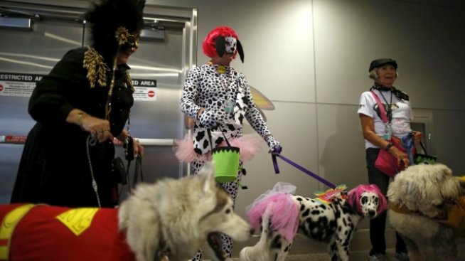 Графика на деня: Икономическите измерения на Хелоуин