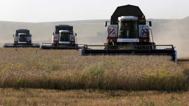 Русия може да увеличи износа на зърно до 60-70 млн. тона годишно