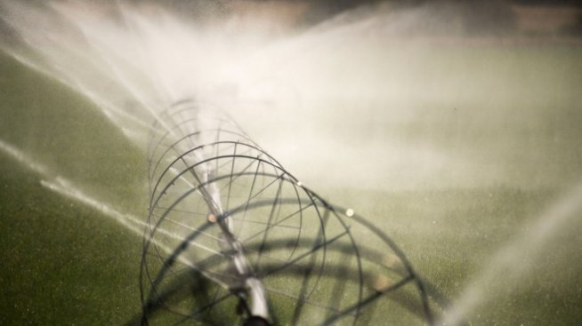 В Плана за възстановяване са предвидени 100 млн. лева за напояване