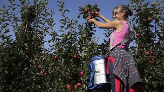 Българските фермери са против отпадането на директните плащания