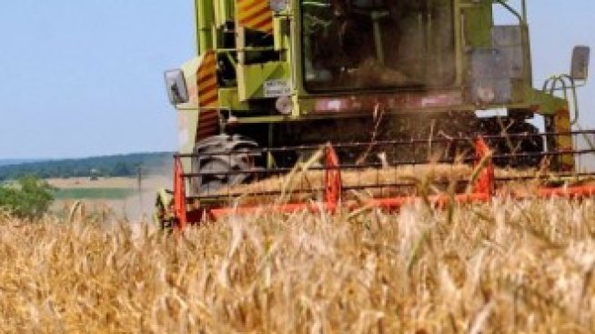 България планира конкретни мерки срещу климатичните промени след 2013 г.